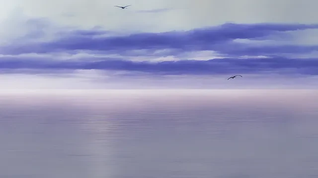 #45 Serene Skies
