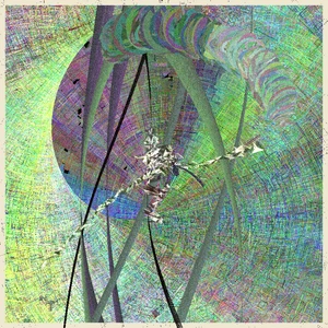 Continuum #125