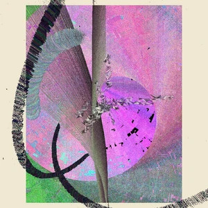Continuum #172