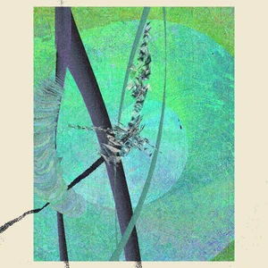 Continuum #61
