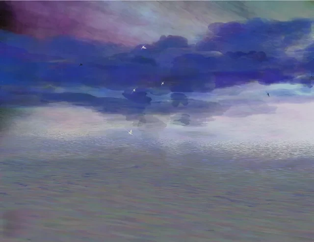 Seasky #29