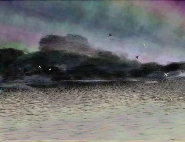 Seasky #6